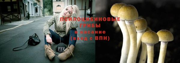 экстази Белокуриха