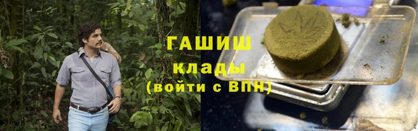 стаф Богданович